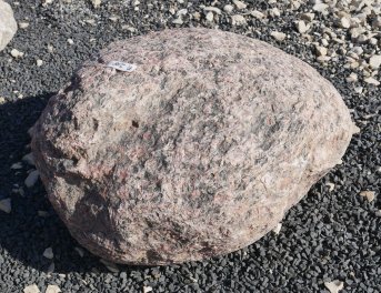  Vorschaubild FI218-37187