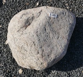 Vorschaubild FI219-37188