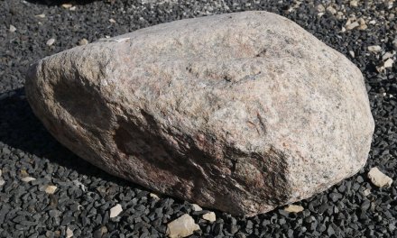  Vorschaubild FI219-37188