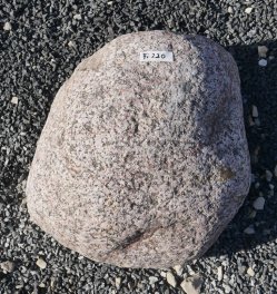  Vorschaubild FI220-37189