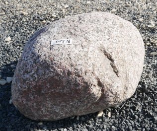  Vorschaubild FI220-37189