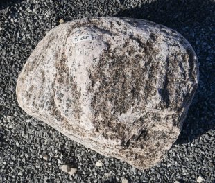  Vorschaubild FI225-37194