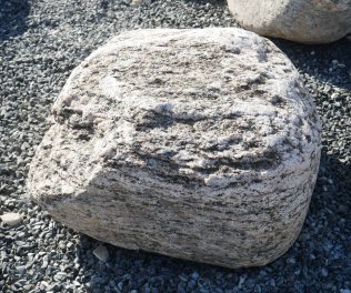  Vorschaubild FI225-37194