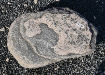  Vorschaubild FI226-37195