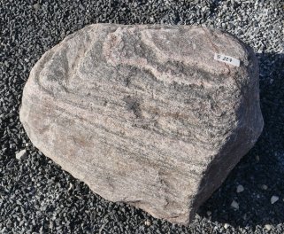  Vorschaubild FI227-37196