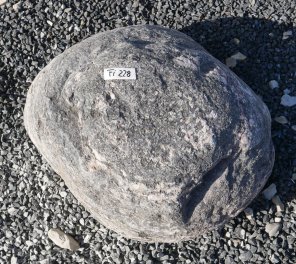  Vorschaubild FI228-37197