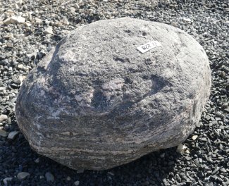  Vorschaubild FI228-37197