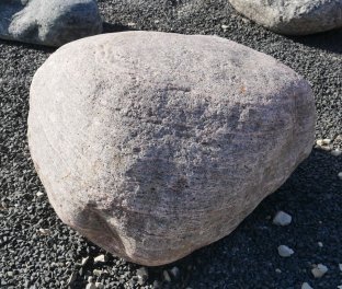 Vorschaubild FI229-37198