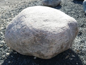  Vorschaubild FI229-37198