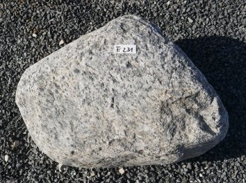  Vorschaubild FI231-37200