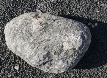  Vorschaubild FI234-37203