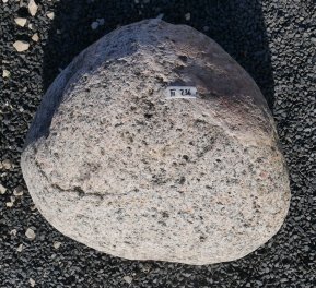  Vorschaubild FI236-37205