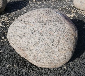  Vorschaubild FI236-37205