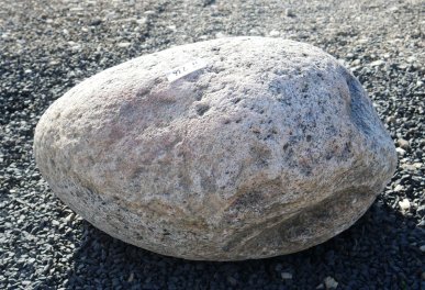  Vorschaubild FI236-37205
