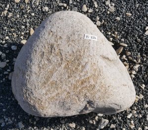  Vorschaubild FI237-37206