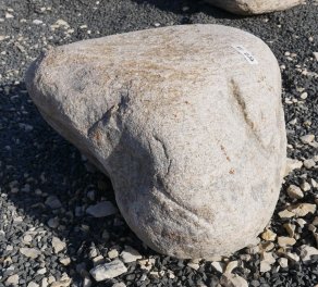  Vorschaubild FI237-37206