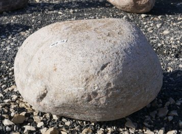  Vorschaubild FI237-37206