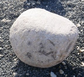  Vorschaubild FI238-37207
