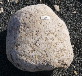  Vorschaubild FI239-37208