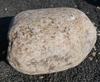  Vorschaubild FI239-37208
