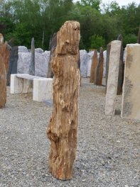  Vorschaubild G099-36558