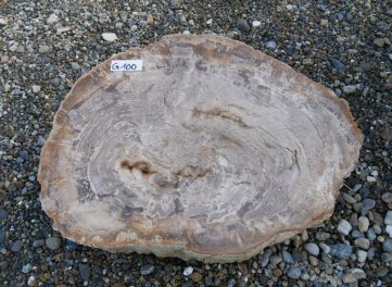  Vorschaubild G100-34620