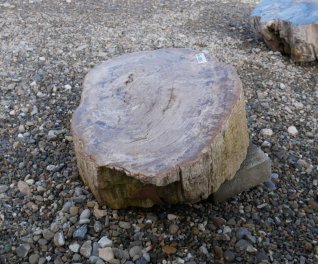  Vorschaubild G100-34620