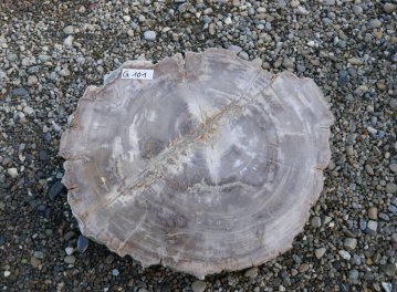  Vorschaubild G101-34619