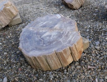  Vorschaubild G101-34619