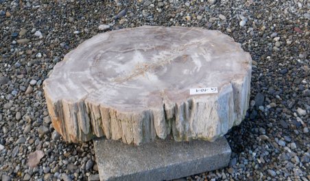  Vorschaubild G101-34619