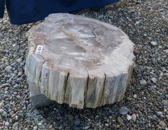  Vorschaubild G101-34619