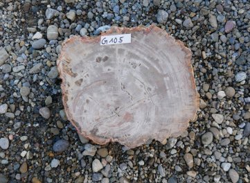  Vorschaubild G105-34615