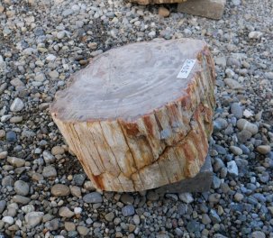  Vorschaubild G105-34615