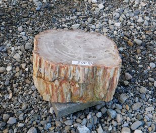  Vorschaubild G105-34615