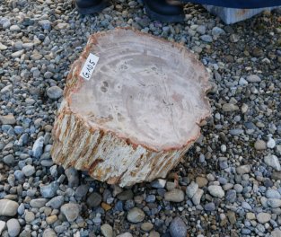 Vorschaubild G105-34615