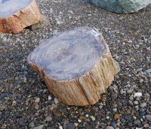  Vorschaubild G109-34611