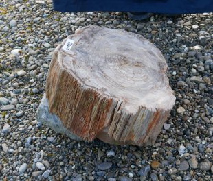  Vorschaubild G109-34611