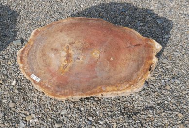  Vorschaubild G116-33493