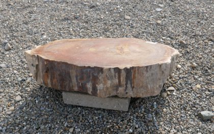  Vorschaubild G116-33493