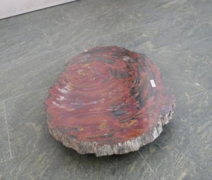  Vorschaubild G119-32898