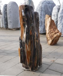  Vorschaubild G166-36329