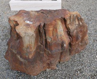  Vorschaubild G170-35834