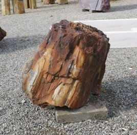  Vorschaubild G171-35835