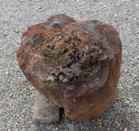  Vorschaubild G171-35835