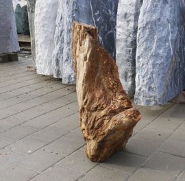  Vorschaubild G172-36330