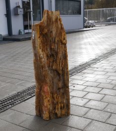  Vorschaubild G173-36331