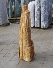  Vorschaubild G173-36331