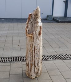  Vorschaubild G176-36334