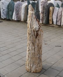  Vorschaubild G176-36334