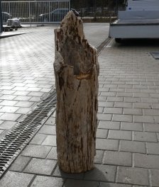  Vorschaubild G176-36334